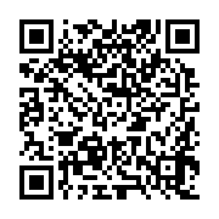 QR code for FZZ398