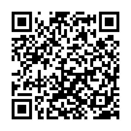 QR code for FZZ511