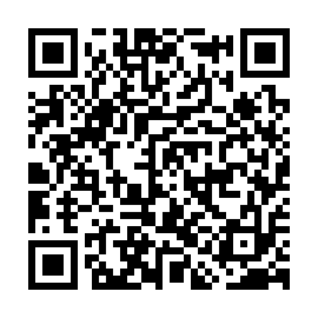 QR code for GAG313