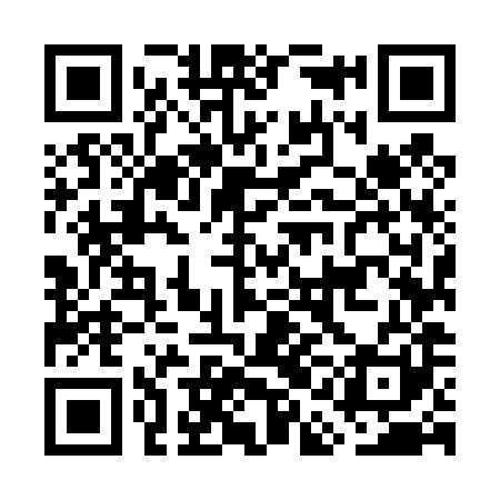 QR code for GAM481