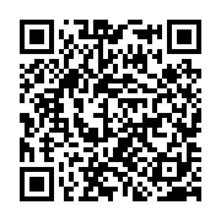 QR code for GAN291