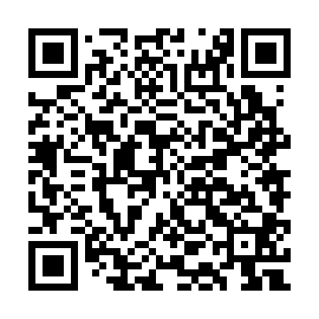 QR code for GAN300