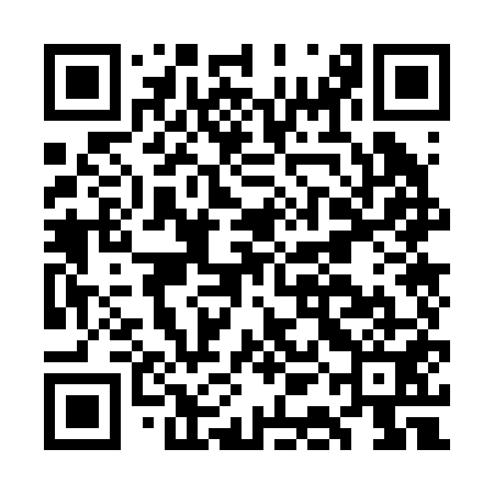 QR code for GAO251