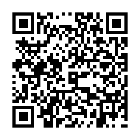 QR code for GAO313