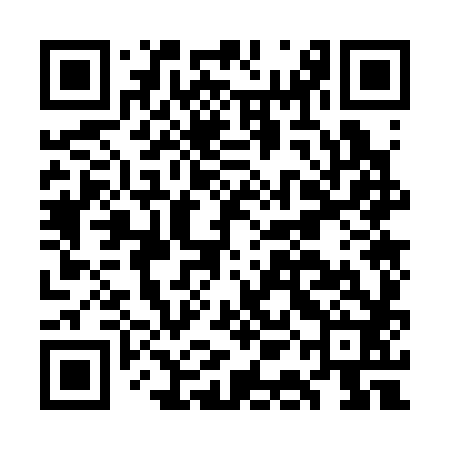 QR code for GAO382