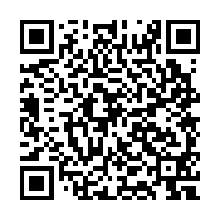 QR code for GAO390