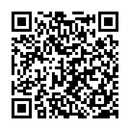 QR code for GAS334