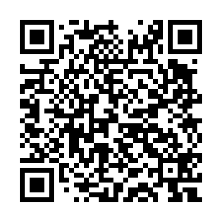 QR code for GAS419