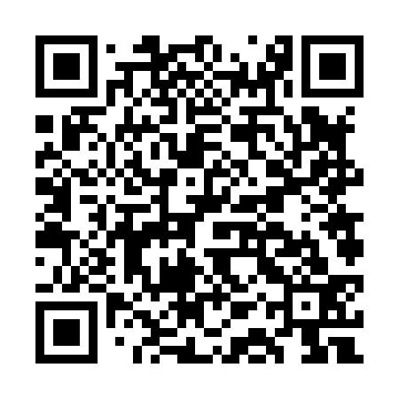 QR code for GAV833