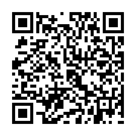 QR code for GBA335
