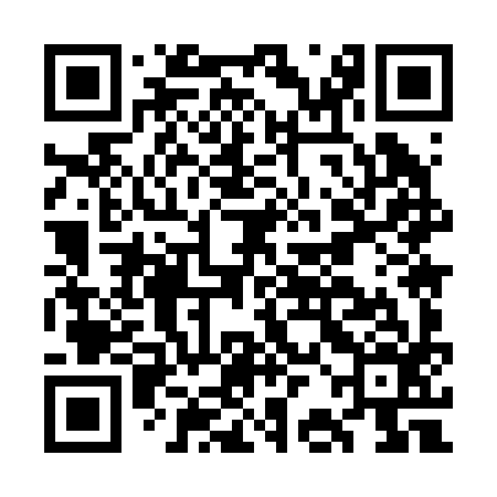 QR code for GBM296