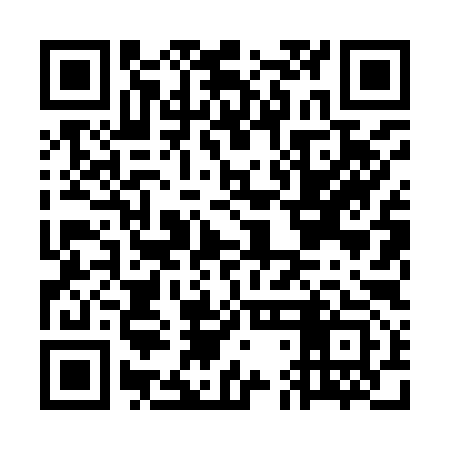 QR code for GDL993