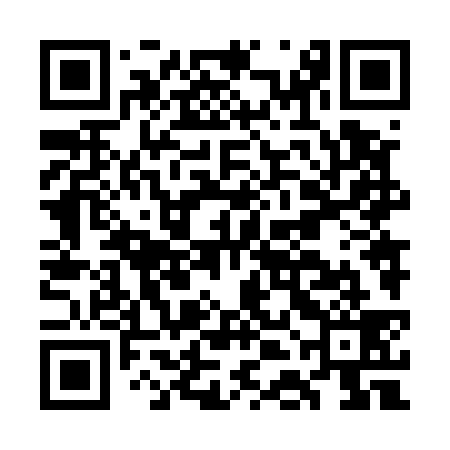 QR code for GDN539