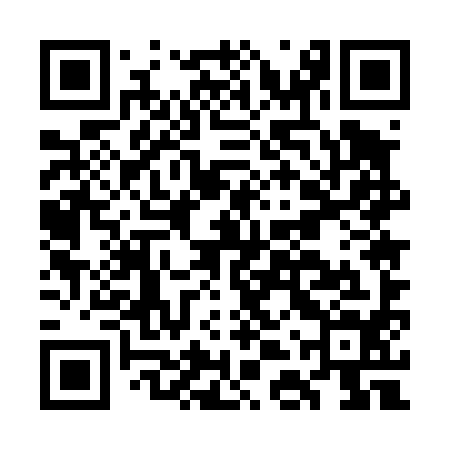 QR code for GDU494
