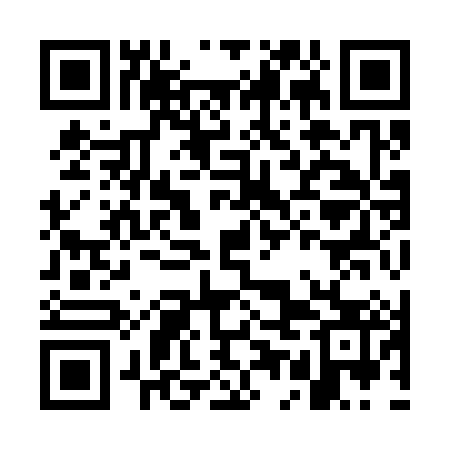 QR code for GEI383
