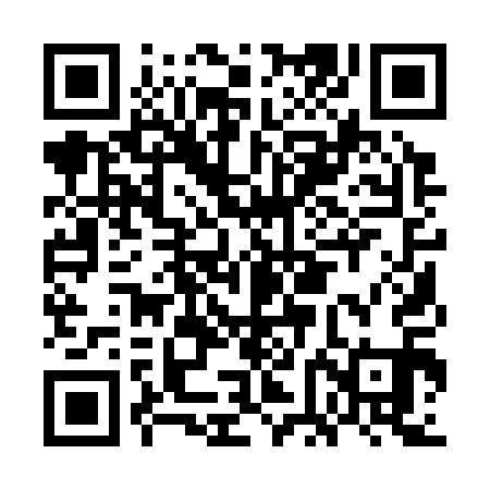 QR code for GFA311
