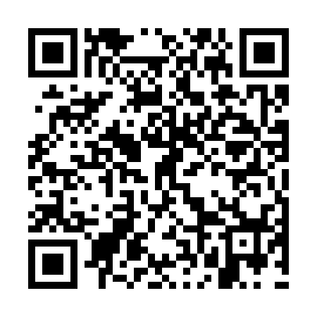QR code for GFE338