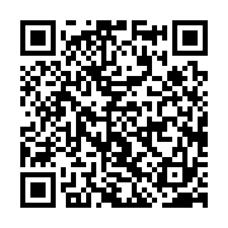 QR code for GFP333