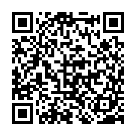 QR code for GGI341