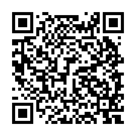 QR code for GGT295