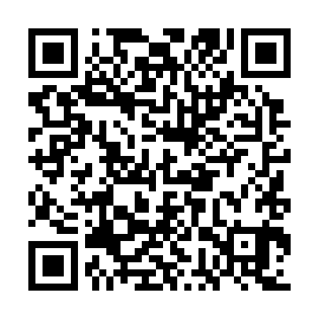 QR code for GGT381