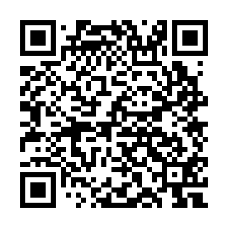 QR code for GHO311