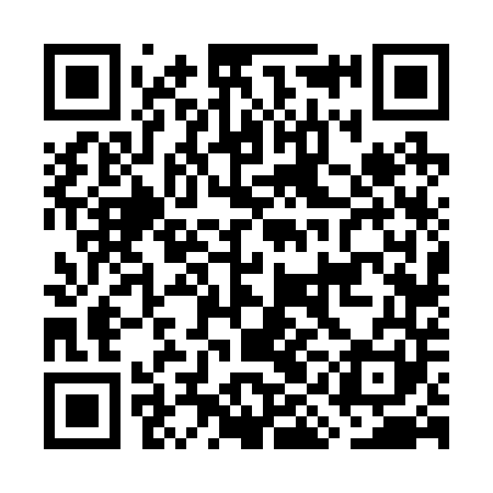 QR code for GIF241