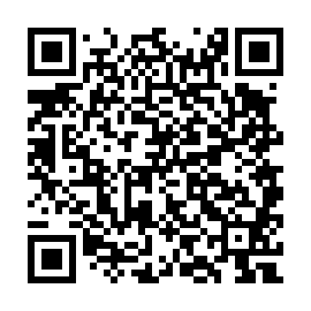 QR code for GIF480