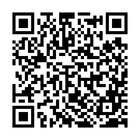 QR code for GIF646