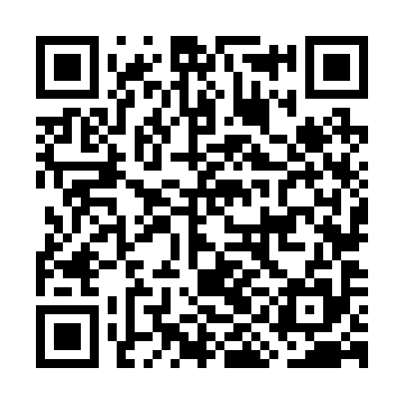 QR code for GIN295