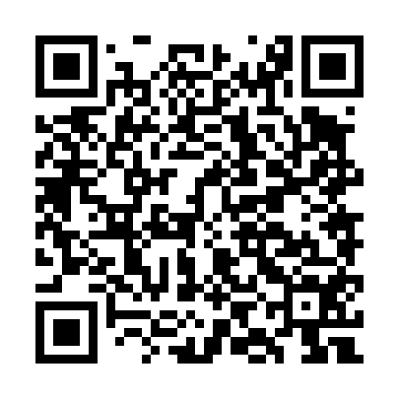 QR code for GIN454