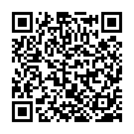 QR code for GIN511