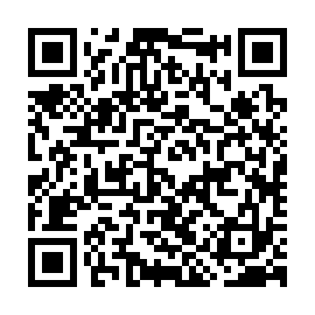 QR code for GIR333