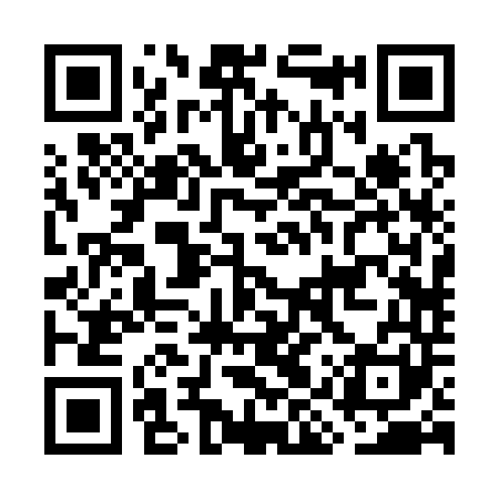 QR code for GIR341