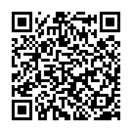 QR code for GIR519