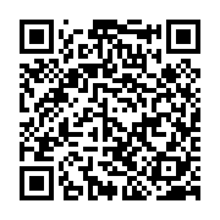 QR code for GIS028