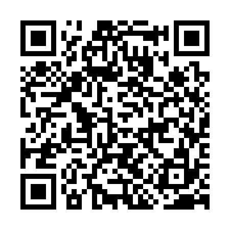 QR code for GIS332