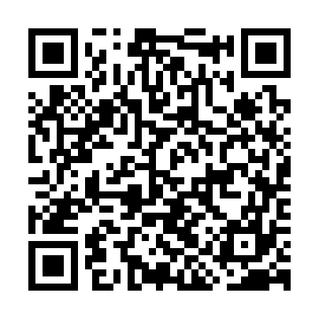 QR code for GIS377