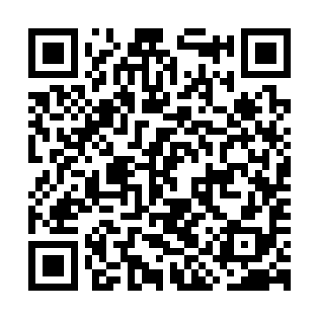 QR code for GIS398