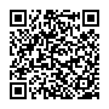 QR code for GIS401