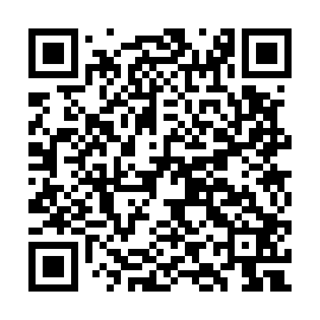 QR code for GIS502