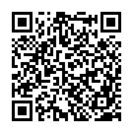 QR code for GIS866