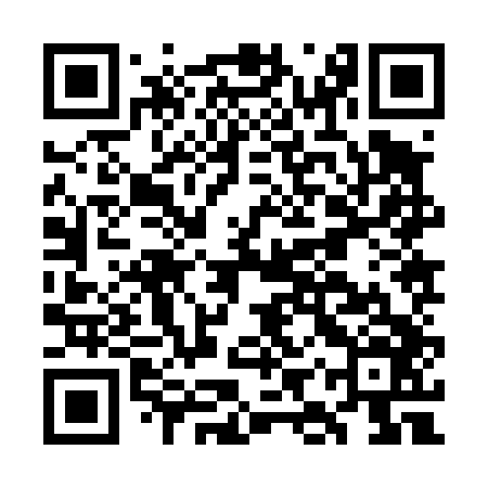 QR code for GIZ446