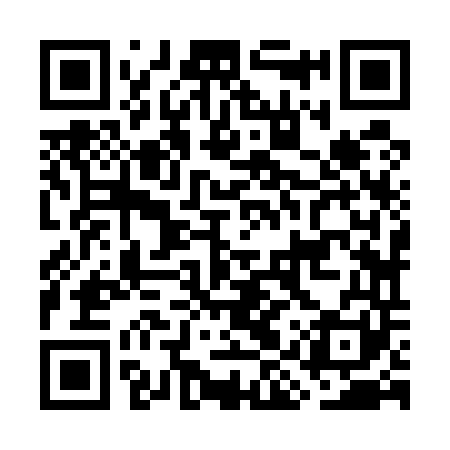 QR code for GIZ541