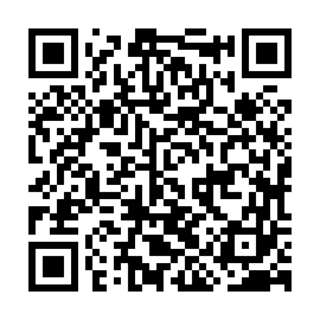 QR code for GIZ863