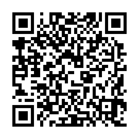 QR code for GJI383