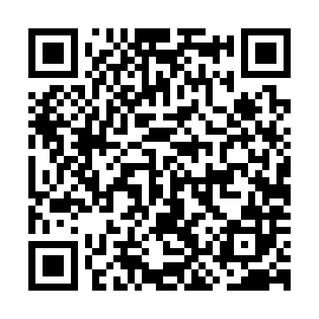 QR code for GKT382