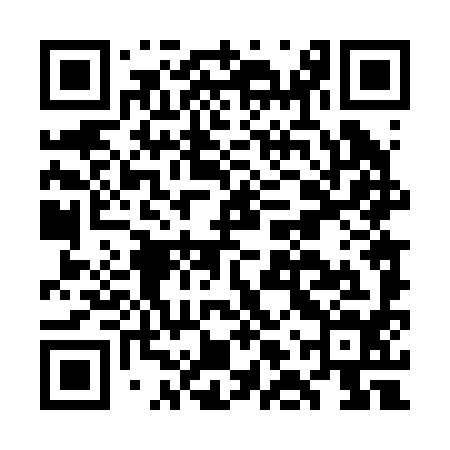 QR code for GLT294