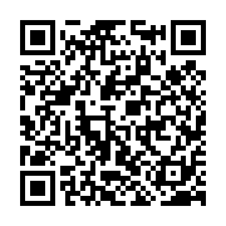 QR code for GMF411