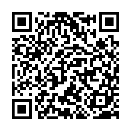 QR code for GMU341